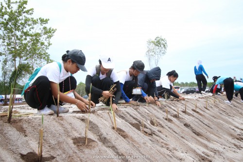 NSTRU Folks plants trees to commemorate the birthday of HM Queen Sirikit on the 12thof August